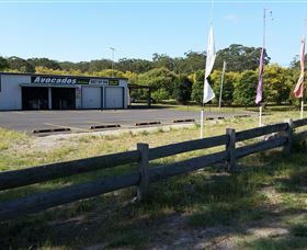 The Avocado Farm - Broome Tourism 4