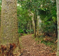 Depot Beach Rainforest walk - Broome Tourism