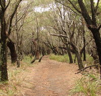 Pretty Beach to Snapper Point walking track - Broome Tourism