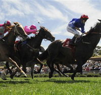 Moruya Racecourse - Broome Tourism