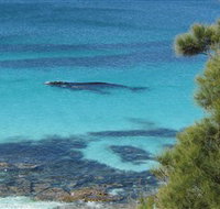 Jervis Bay Marine Park - Broome Tourism