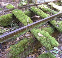 Wootton Historical Railway Walk - Broome Tourism