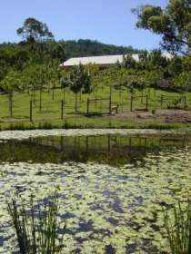 Mount Nathan Winery - Broome Tourism 2