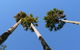 Plateau Circuit Loop Trail - thumb 1