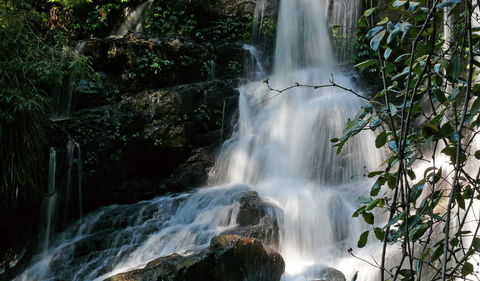 Bangalore Falls Walking Track - Broome Tourism 3