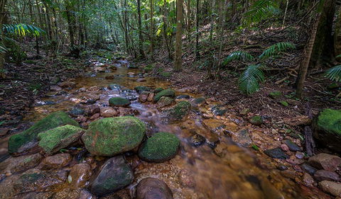 Starrs Creek Picnic Area - Broome Tourism 0