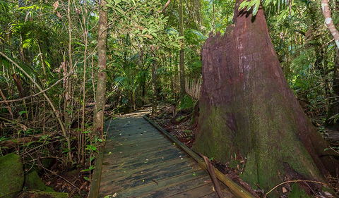 Starrs Creek Picnic Area - Broome Tourism 2