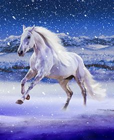 Australian Outback Spectacular: High Country Legends - Broome Tourism 1