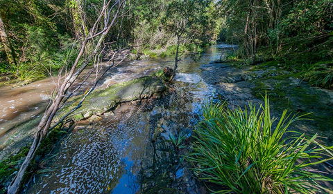 Dawson River Walking Track - Broome Tourism 0