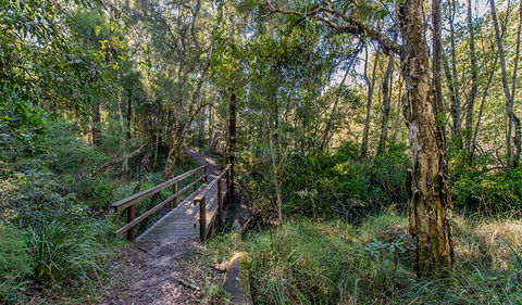 Dawson River Walking Track - Broome Tourism 1
