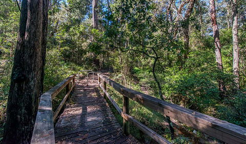 Dawson River Walking Track - Broome Tourism 3
