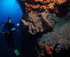 Gotham City Dive Site - Broome Tourism 0