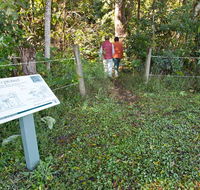 Rainforest walk - Broome Tourism