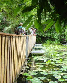 Rocky Creek Dam - Broome Tourism 0