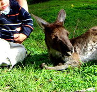 Bunbury Wildlife Park - Broome Tourism