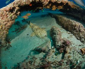 Aarhus Dive Site - Broome Tourism 3
