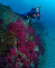 Aarhus Dive Site - Broome Tourism 2