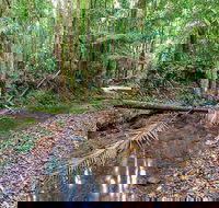 Ulidarra National Park - Broome Tourism