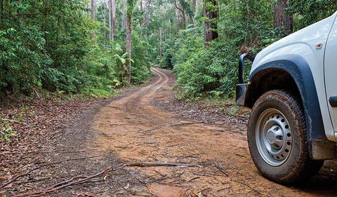 Ulidarra National Park - Broome Tourism 2