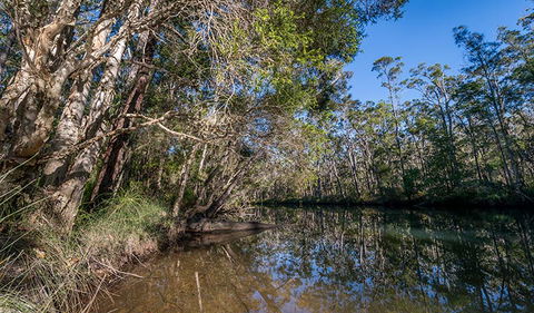 Queens Lake Nature Reserve - Broome Tourism 3