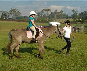 Port Macquarie Horse Riding Centre - Broome Tourism 0