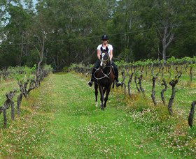 Port Macquarie Horse Riding Centre - Broome Tourism 1