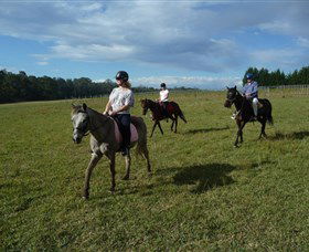 Port Macquarie Horse Riding Centre - Broome Tourism 5