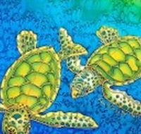 Sea Silks Gallery - Broome Tourism