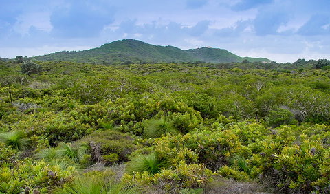 Arakwal National Park - Broome Tourism 1