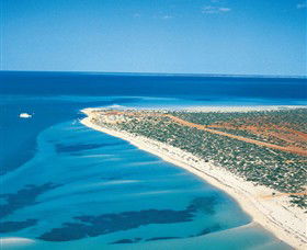Monkey Mia WA Broome Tourism
