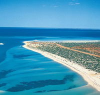 Monkey Mia - Broome Tourism