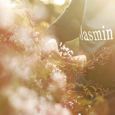 Jasmin Organics Skincare Farm And Factory - Broome Tourism 8