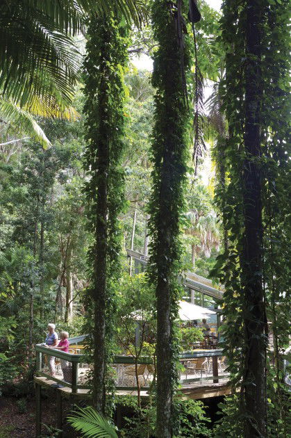 Sea Acres Rainforest Centre - Broome Tourism 1