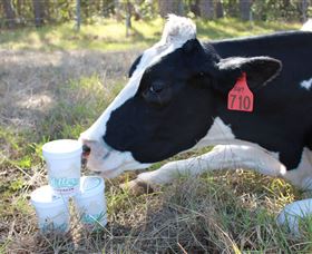 Millers Ice Cream - Broome Tourism 2
