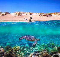 Snorkel the Ningaloo Reef - Broome Tourism