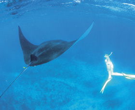 Ningaloo Reef - Broome Tourism 3