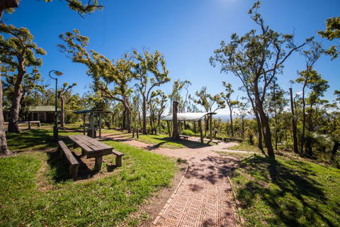 Rockhampton To Carnarvon Gorge Four Night Drive - Broome Tourism 0