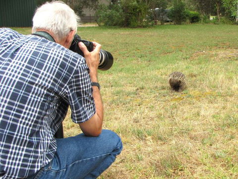 Echidna Walkabout Nature Tours - Broome Tourism 6