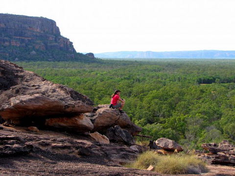 Echidna Walkabout Nature Tours - Broome Tourism 21