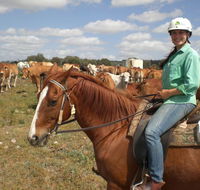Myella Farm Stay Tours - Broome Tourism