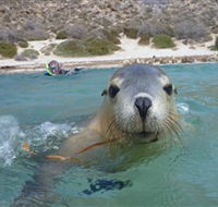 Calypso Star Charters - Broome Tourism