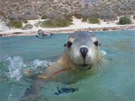 Calypso Star Charters - Broome Tourism 2