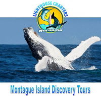 Lighthouse Charters Narooma - Broome Tourism