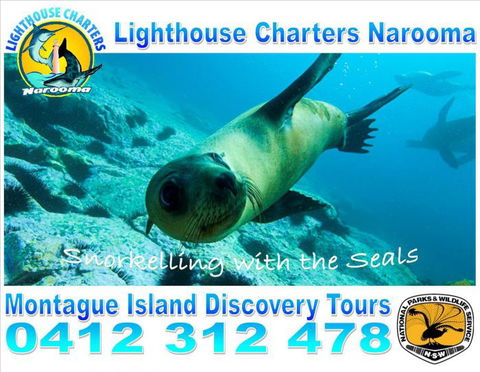 Lighthouse Charters Narooma - Broome Tourism 14
