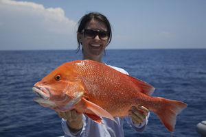 Absolute Ocean Charters