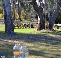 Glendale Citrus  Hazelnut Orchard - Broome Tourism