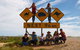 Nullarbor Traveller - thumb 4