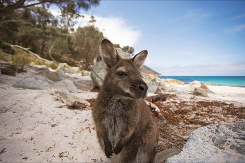 Nullarbor Traveller - Broome Tourism 28