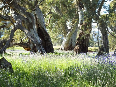 Aussie Heritage Tours - Broome Tourism 4