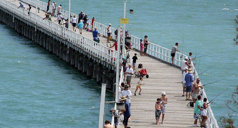 Fraser Coast Amazing Fishing Trails - Broome Tourism 27